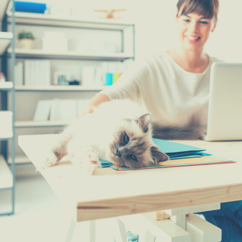 create a productive home office