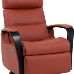 IMG Peak Power Relaxer Recliner